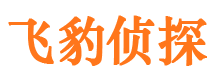 金口河市私家侦探